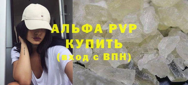 PSILOCYBIN Беломорск