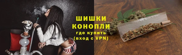 молекула духа Богородицк