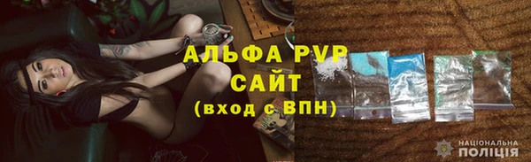 молекула духа Богородицк