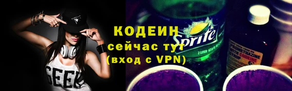молекула духа Богородицк