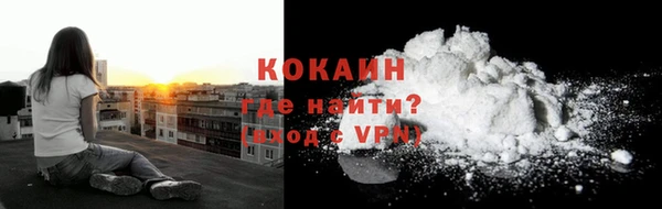 спайс Богданович