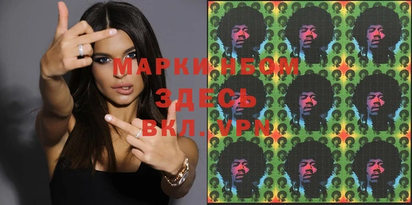 молекула духа Богородицк