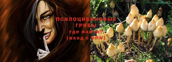 спайс Богданович