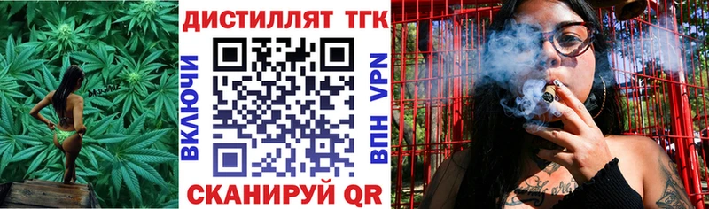 где купить   Будённовск  ТГК концентрат 